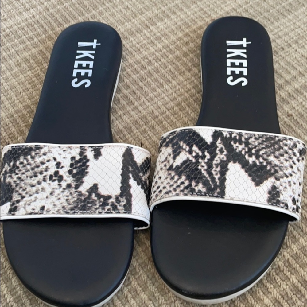 TKEES The Lucas Slide